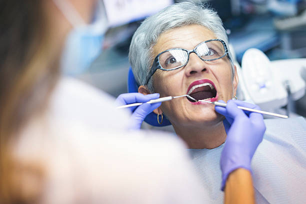 Professional Holistic Dental Care Services in Whitehall, WI